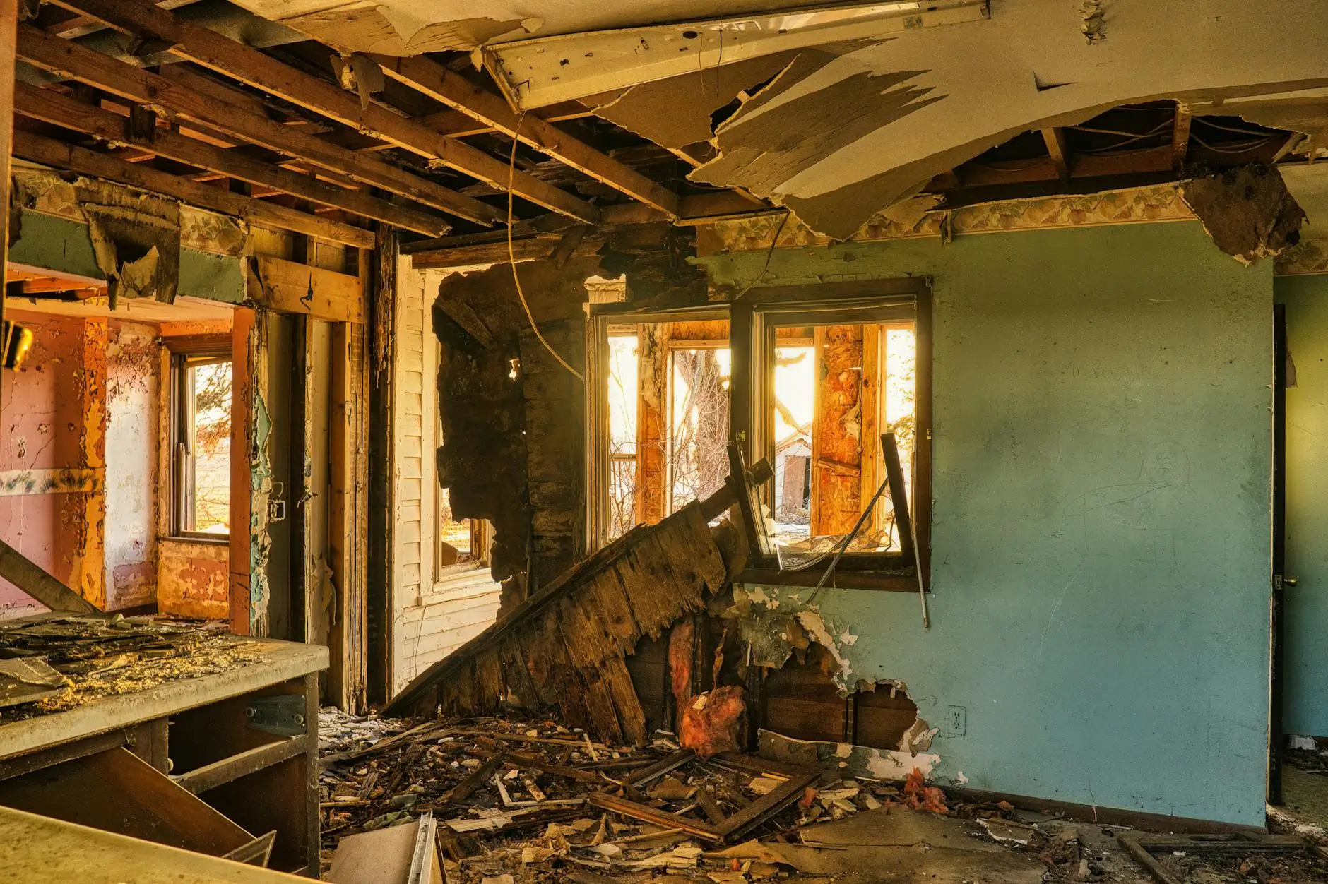 Miami's Leading Mold Removal Company You Can Trust — Miami