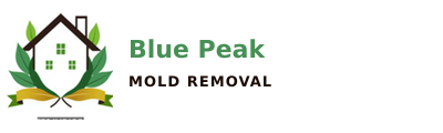 Blue Peak Mold Removal